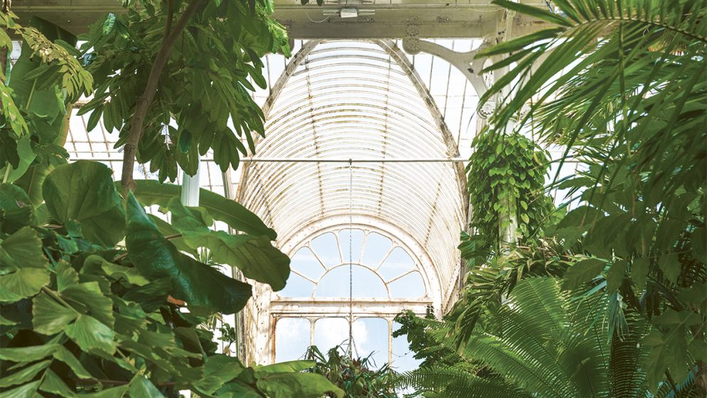 Palm house. Construite en 1848, la serre abrite des plantes tropicales et subtropicales.