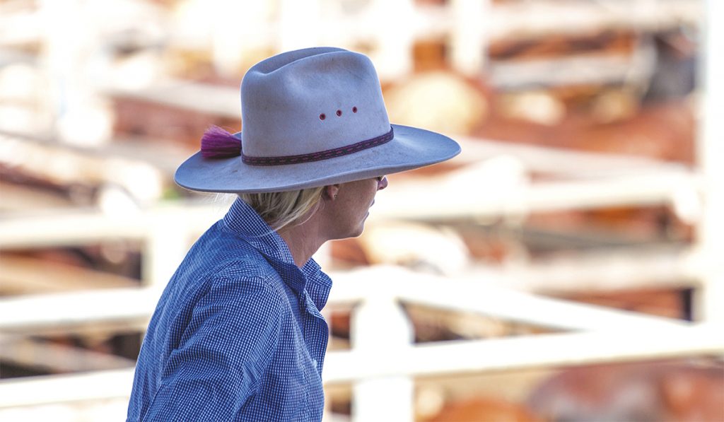 L'Outback. Non loin de la mer, les cow-boys de la côte est.