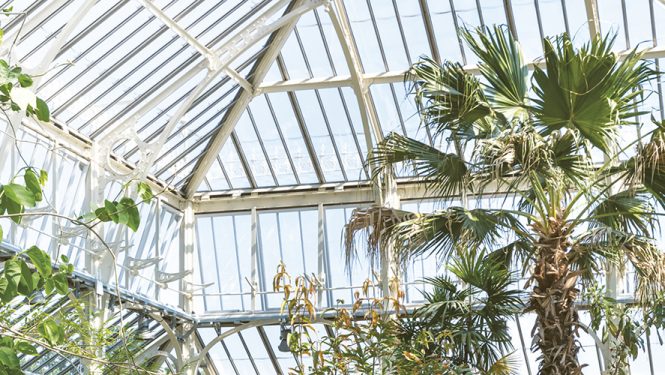 The Temperate House at Kew Gardens reopened in April 2018 after major restoration © Jérémie Souteyrat