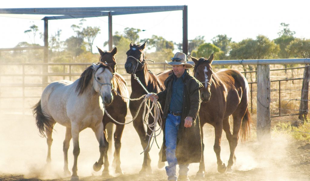 L'Outback. Non loin de la mer, les cow-boys de la côte est.