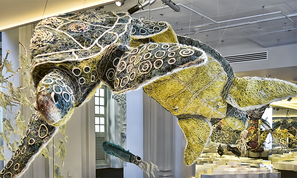 Singapour. Une tortue immortalisée par les artistes australiens. © Choo Yut Shing