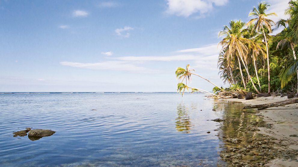 Le parc naturel de Cahuita a été créé en 1978 pour protéger un paysage et un récif corallien d’une beauté saisissante. Mais Cahuita est menacé par la pollution aux pesticides qui ruisselle des plantations de bananes.