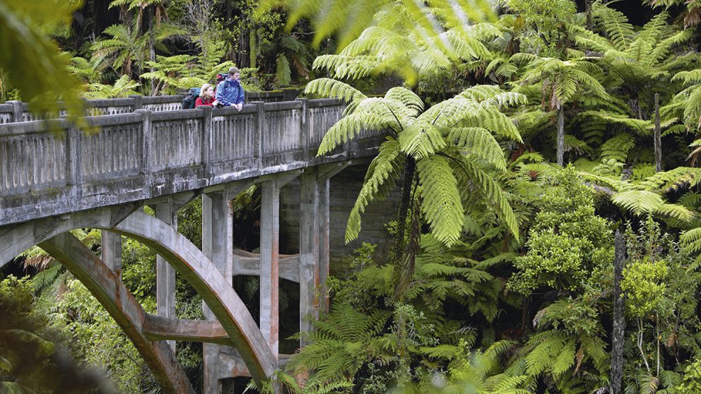 Le Parc national Whanganui. Des soldats néo-zélandais rentrés de la Première Guerre mondiale s’installèrent comme fermiers sur ces terres. Les maisons ont disparu, reste le pont.