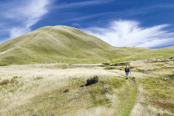 Les chemins de Compost’îles, îles de la Madeleine