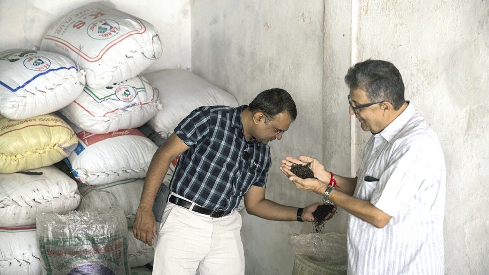 Vente d’épices en gros. Anand Kishor Kuruwa, marchand d’épices de père en fils, touche, sent et inspecte les épices avant d’enchérir sur des lots.