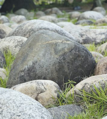 Le paysagiste n’hésitait pas à faire primer le minéral sur le végétal. Un jardin de galets, élément typique des œuvres de Roberto Burle Marx, près du Musée d’art moderne de Rio de Janeiro.