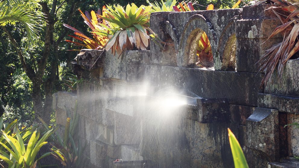 Des pierres de démolition composent ce mur du « sitio » de Roberto Burle Marx. Il dessinait ses jardins avec rigueur mais laissait ensuite la flore tropicale s’exprimer, à l’instar de ces broméliacées.