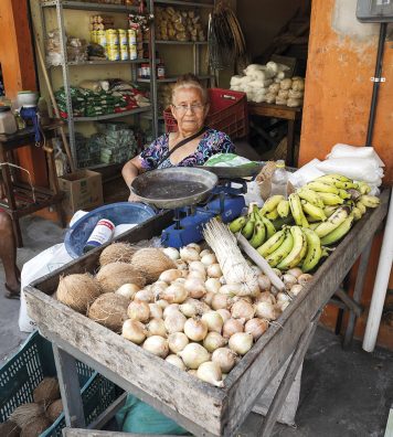 Les petits commerçants brésiliens ont depuis renoncé au trafic d'animaux à ciel ouvert. Il y a 10 ans, il était aussi courant de vendre des perroquets et des singes que des fruits et des plantes médicinales.