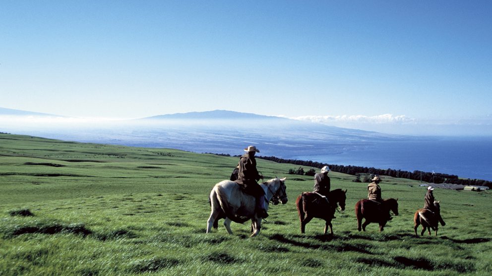 Les paniolo. C’est le nom que l’on donne aux cow-boys d’Hawaii.