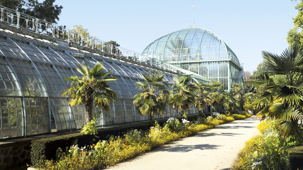 Plan de construction pour l'abri hivernal d'un palmier