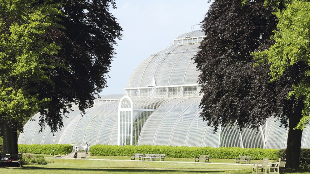 La serre aux palmiers des Royal Botanic Gardens de Kew, Londres. Vues extérieure de la coursive du corps central de la serre. Kew Garden renferment d'autres serres magnifiques.