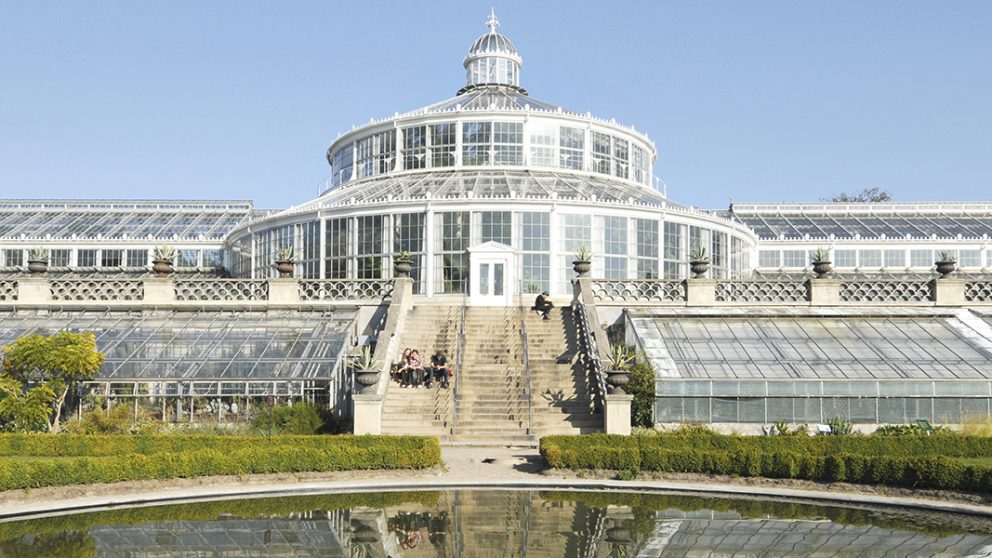 La grande serre aux palmiers de Copenhague. Modernisée en 1980, cette serre de 94 mètres s’est inspirée entre autres serres, du Crystal Palace de Paxton.