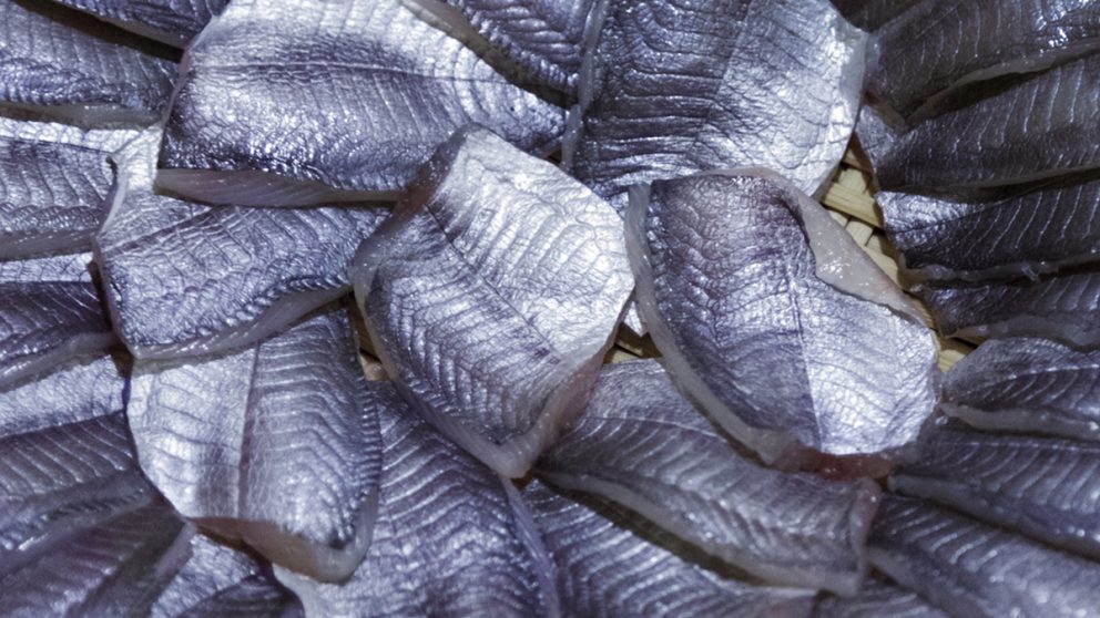 Cuisine japonaise. Poissons et produits de la mer sont la base du repas typiquement japonais.