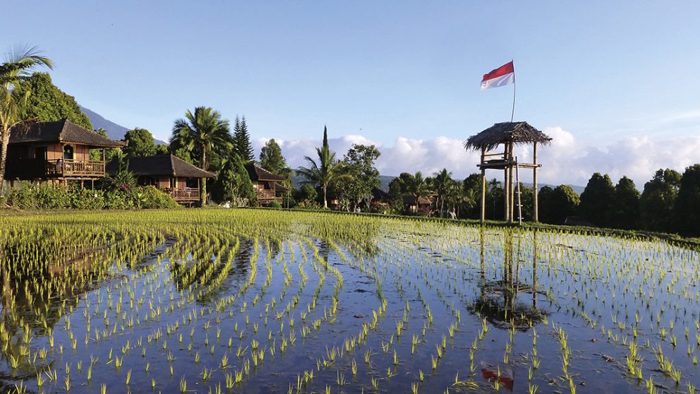 Habitations traditionnelles au centre de Bali. Tout autour, les rizières de Munduk forment une sorte de barrière naturelle.