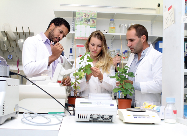 Les fondateurs d’AgroSustain.