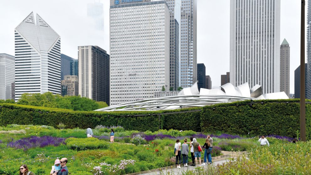 Le paysagiste Piet Oudolf. Le Lurie Garden de Chicago.