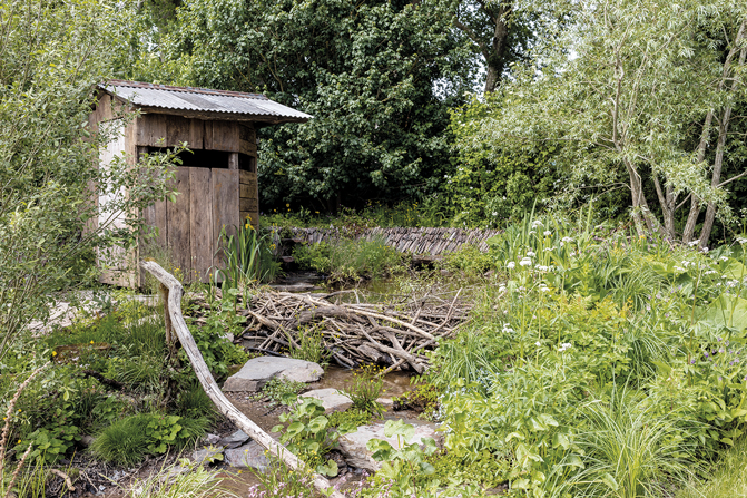 « A Rewilding Britain Landscape » par Lulu Urquhart et Adam Hunt.