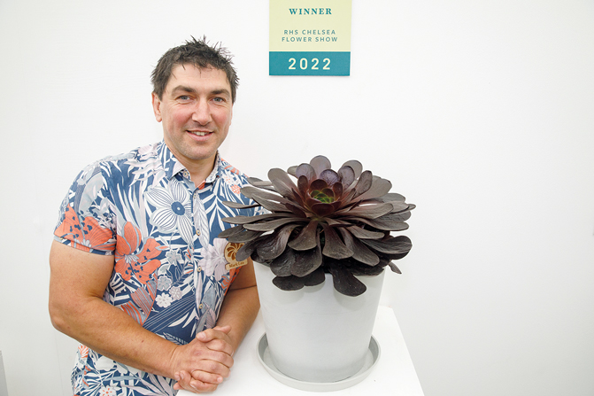 L’horticulteur Mark Lea pose avec sa xSemponium « Destiny ».