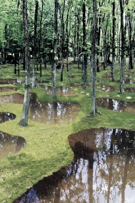 Le jardin poétique de l’architecte Junya Ishigami.