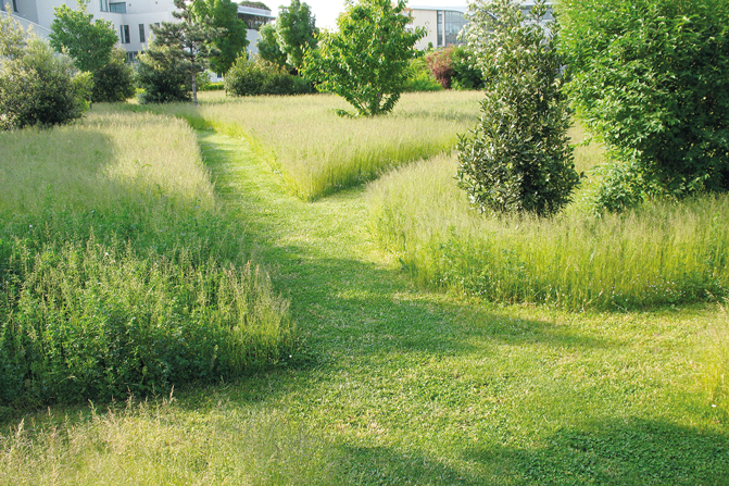 Un exemple de « jardin en mouvement » à l’École normale supérieure de Lyon.
