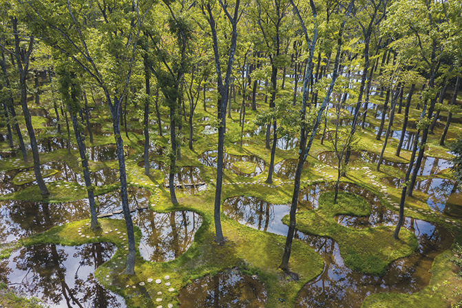 Art Biotop, un jardin d’eau planté de centaines d’arbres.