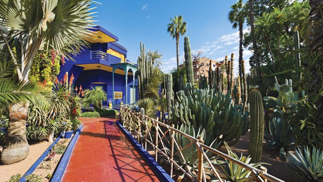 Jardin Majorelle à Marrakech.