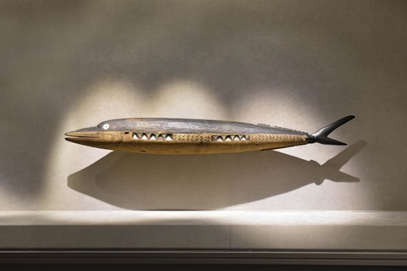 Un poisson des Îles Salomon en dialogue avec la photo « Mains 8 ».