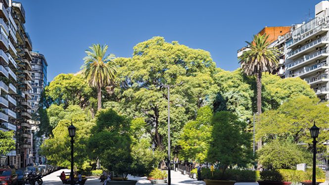 La plaza Güemes.